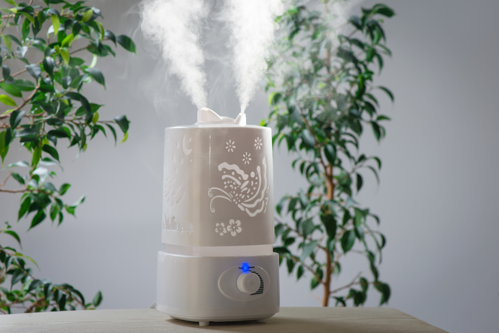 home humidifiers